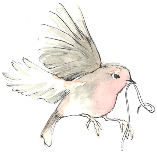 Robin's Promise Yarn Co. on Hero