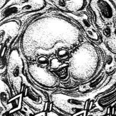 Aesthetic anime & manga PFP for discord, Berserk, Advent - 75, Page 3, Chapter 75. 1:1 square ratio. Aesthetic pfps dark, color & black and white.