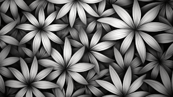 Black And White Art Wallpaper - High Quality, HD, 4K Wallpapers Black And White Art Wallpaper - High Quality, HD, 4K Wallpapers